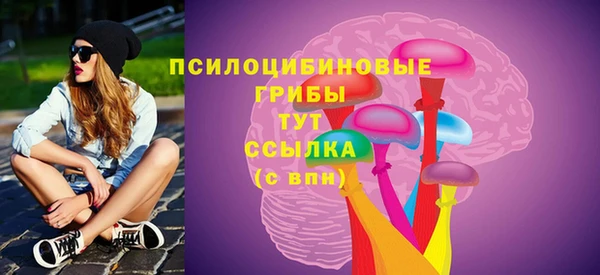 шишки Коряжма