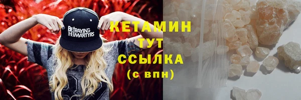 шишки Коряжма