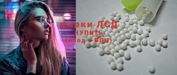 шишки Коряжма