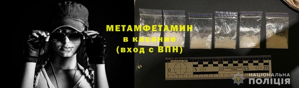 шишки Коряжма