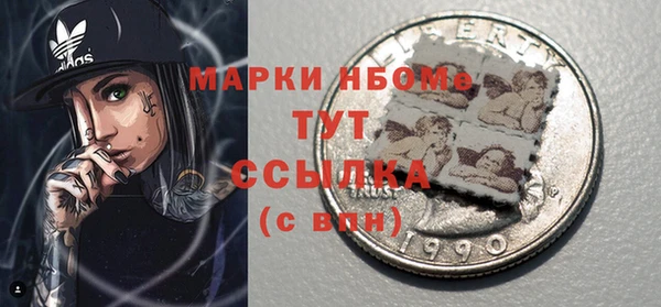 шишки Коряжма