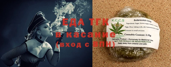 шишки Коряжма