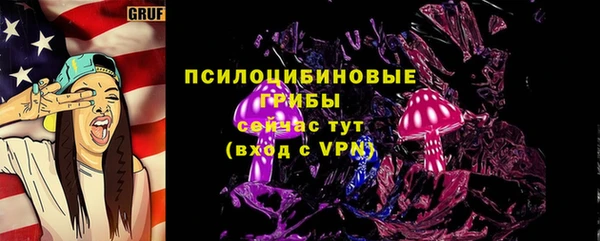 амф Костерёво
