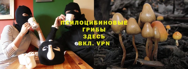 амф Костерёво