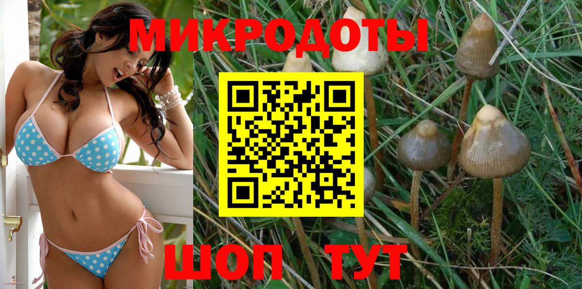 Псилоцибиновые грибы Magic Shrooms  Вход с VPN  Дагестанские Огни 