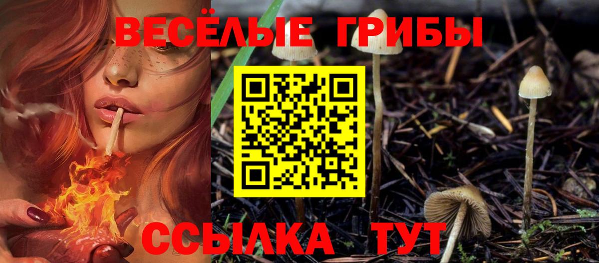Псилоцибиновые грибы мухоморы Дагестанские Огни